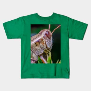 Grashopper, Over the Shoulder. Macro Photograph Kids T-Shirt